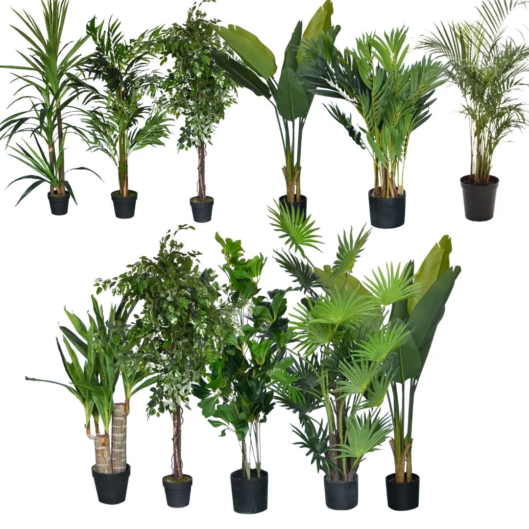 Planters Assorted